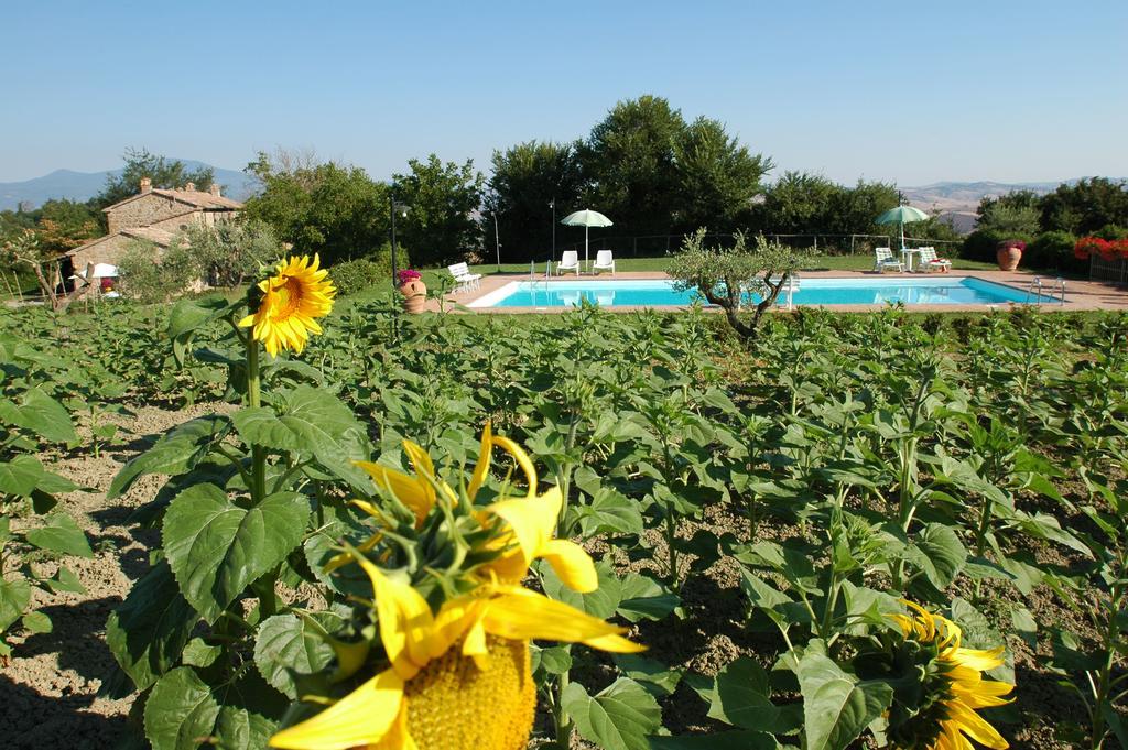 Agriturismo Poggio Porsenna - Con Piscina Villa Proceno Екстериор снимка