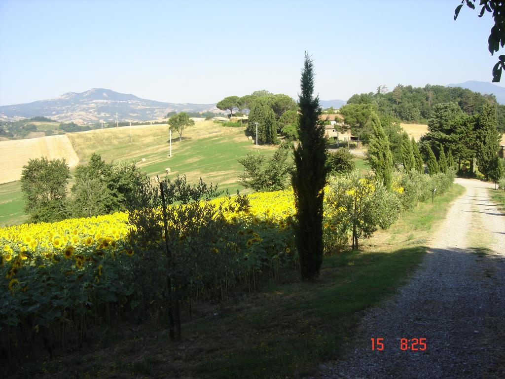 Agriturismo Poggio Porsenna - Con Piscina Villa Proceno Екстериор снимка